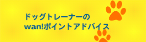 鹿野先生のWan!ポイントアドバイス