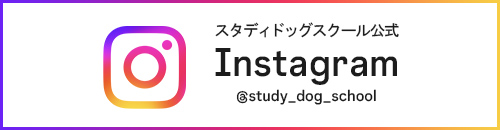 スタディドッグスクールInstagram