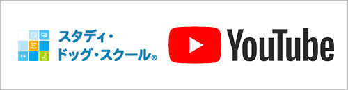 スタディドッグスクールYouTube